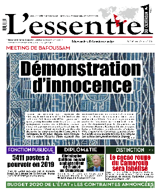 Cover L'Essentiel du Cameroun - 254 