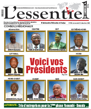 Cover L'Essentiel du Cameroun - 325 