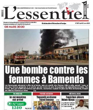 Cover L'Essentiel du Cameroun - 287 