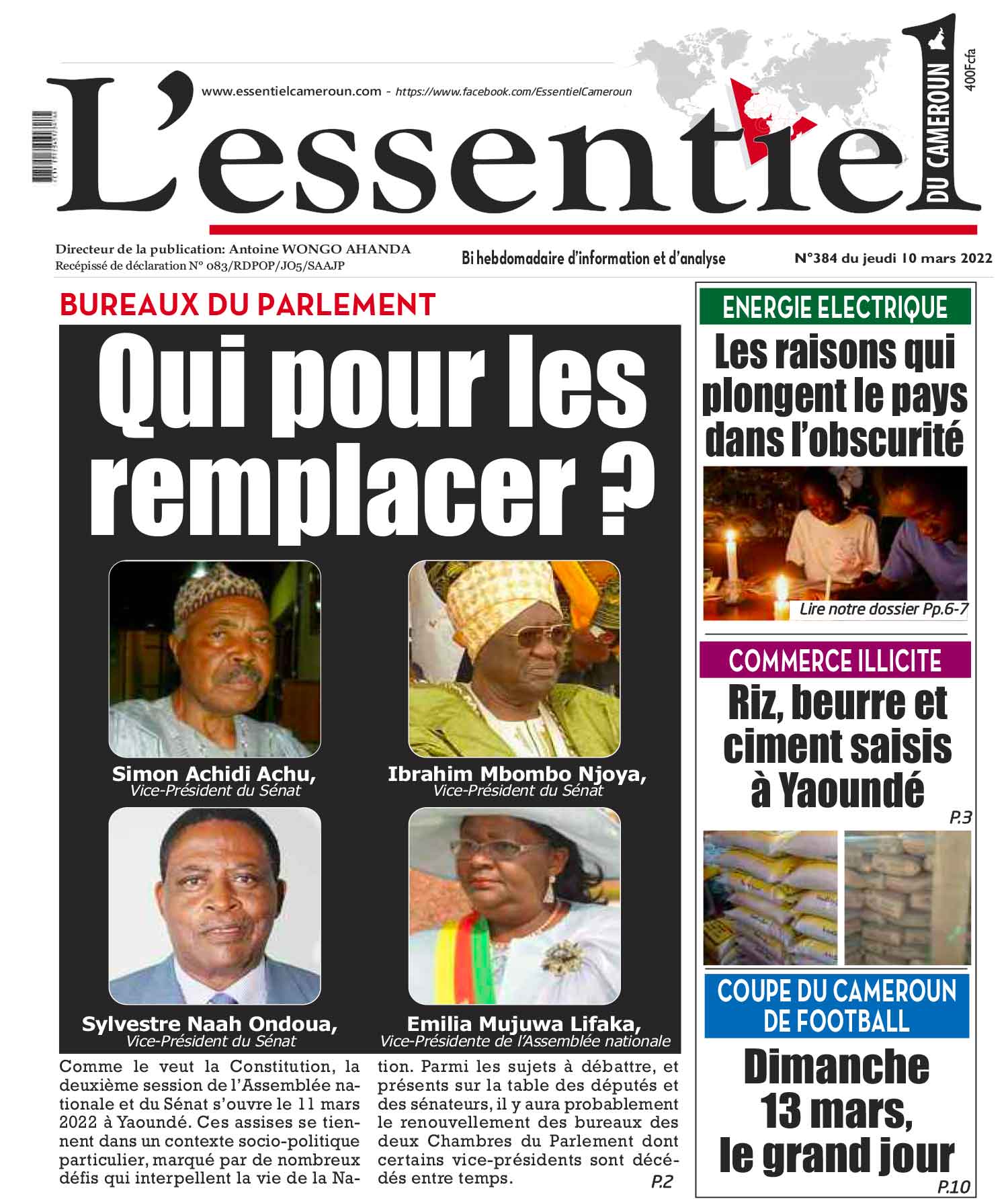 Cover L'Essentiel du Cameroun - 384 