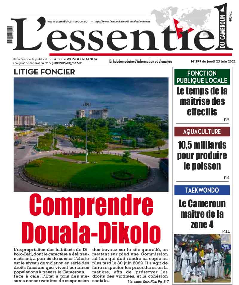 Cover L'Essentiel du Cameroun