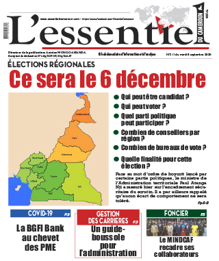 Cover L'Essentiel du Cameroun - 311 
