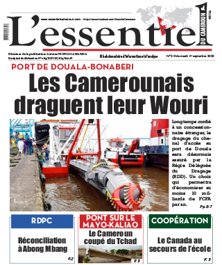 Cover L'Essentiel du Cameroun - 310 
