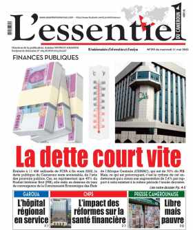 Cover L'Essentiel du Cameroun - 393 