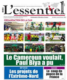 Cover L'Essentiel du Cameroun - 380 