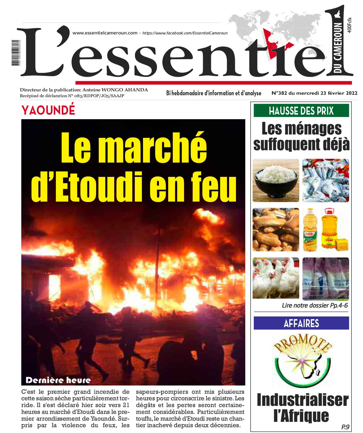Cover L'Essentiel du Cameroun - 382 